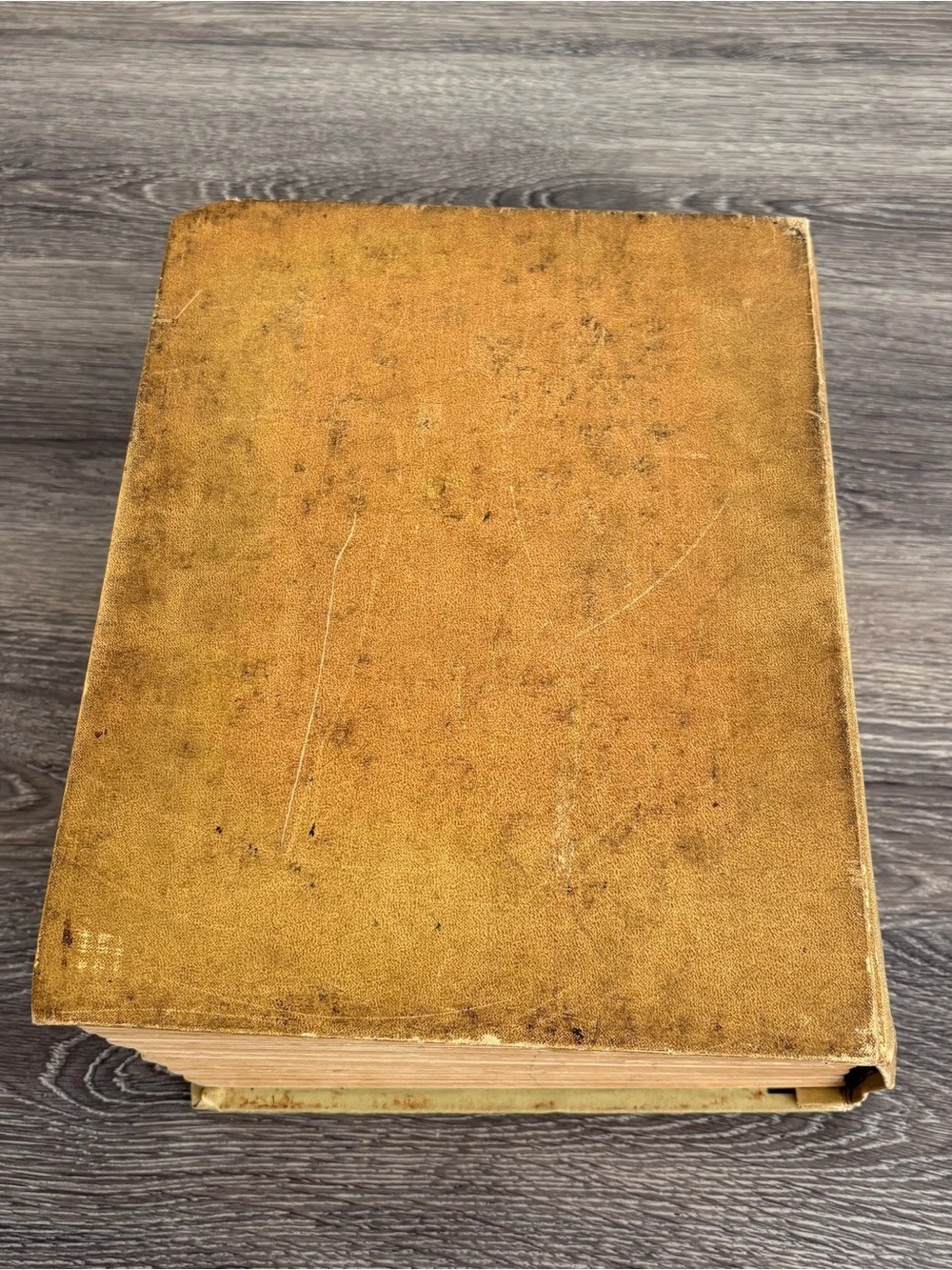 Vintage Websters Dictionary Book in Red and Gold - Picture 5 of 7